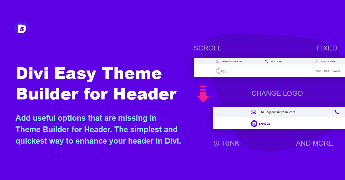 dsm-easy-theme-builder-min